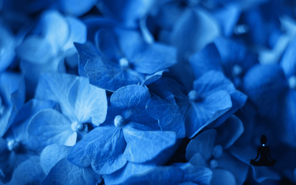 Torokcsakra amikor végre megszólal a belső hang - Nyugalomkuckó