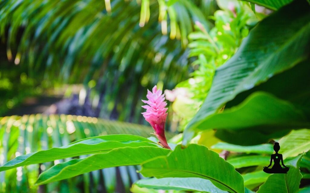 A szívcsakra: a szeretet, elfogadás és belső egyensúly középpontja - Nyugalomkuckó