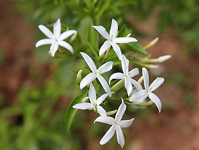 Szeretetenergia masszázs nőknek - Nyugalomkuckó